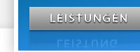 Leistung